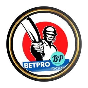 Bpexch App in Pakistan